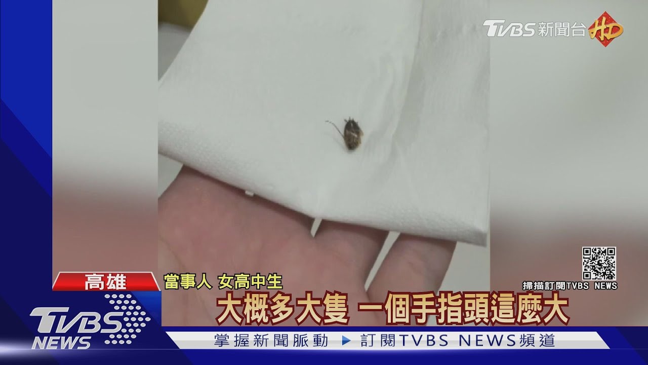 口感怪!喝紅茶吸到蟑螂 業者:環境消毒確實