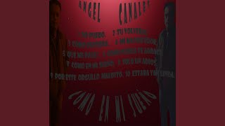 Por Este Orgullo Maldito Lyrics English Translation