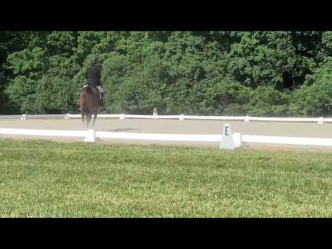 GVRDC Horse Trials, June 5, 2022 with Mighty Smart 2