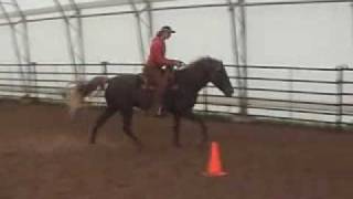 preview picture of video 'Bridleless Rocky Mountain horse gaiting & canter'