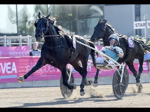 Elitloppet 2021 - Don Fanucci Zet