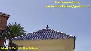 Marriott Marbella Beach Resort