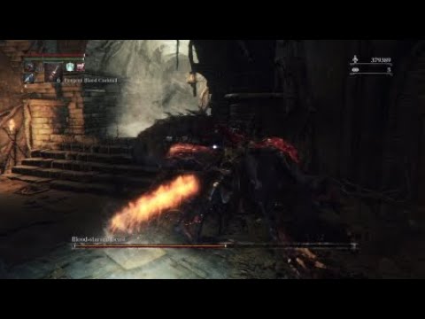 Bloodborne ~  Cursed  vs. Blood Starved Beast  "NO DAMAGE"