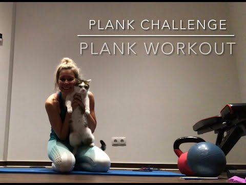 Egal ist 88 - Easy Plank Workout - 27 Übungen, die immer was mit Plank und der 8 zu tun haben