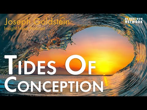 Joseph Goldstein on the Tides of Conception - Insight Hour Ep. 159