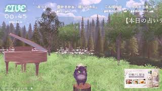 🔴LIVE CAMERA ウズネコ【参加型占い】　2026.08.15