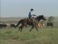 Barney Friends Season 5 Howdy Friends