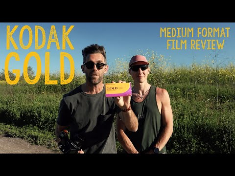 Kodak Gold 200 // Choosing Your Film Stock