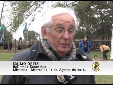 31-08-16 Nota a Emilio Ortiz - Estancia Bellamar y El Bonete - Miramar.