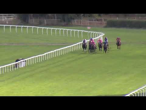 5. dostih - EJC LOKOTRANS MIDDLE - Videozáznam Evropského poháru žokejů 2018