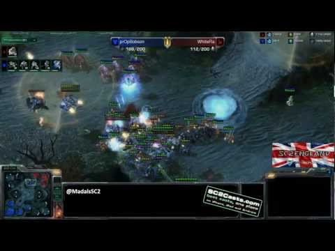 prOpBobson v WhiteRa - TvP