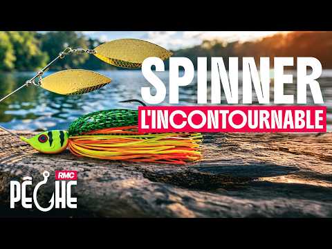 Comment régler le problème des cormorans / direction l'Aube avec Vincent de Bruyne (RMC Pêche #5)