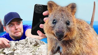 Struggling to get the Selfie Everyone Wants! (Not a Giant Rat)