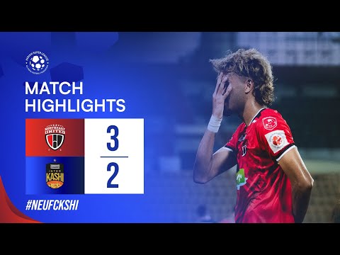 bg-highlight