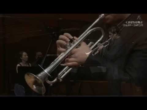 Flight of the Bumblebee - Ruben Simeo (trumpet)