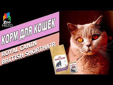 Китайские методы лечения шейного остеохондроза Болит левый бок со спины и позвоночника