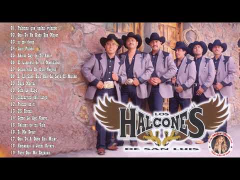 Los Halcones De San Luis 20 Exitos Inolvidables ~ Puros Corridos Para Pistear Mix