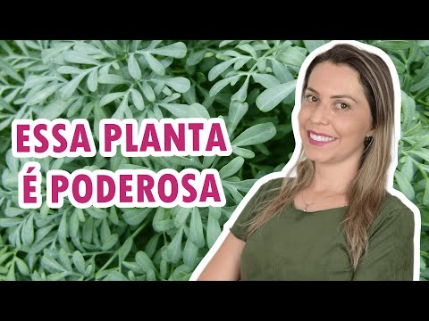 , title : 'ARRUDA: dicas de cultivo e benefícios para a saúde'