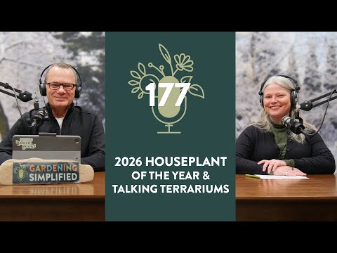 2026 Houseplant of the Year and Tips for Making Terrariums | 177