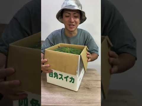 スイカの種:ゴミ箱にはもったいない 植物