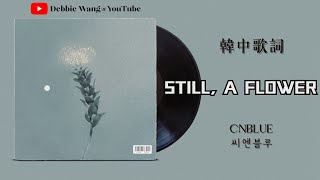 Download lagu ♡韓中歌詞♡ | CNBLUE (씨엔블루) - Still, a Flower mp3