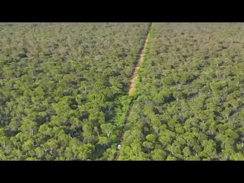 Campo Choya - Santiago del Estero