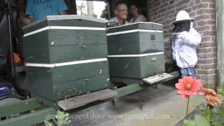 preview picture of video 'Bijenhoudersvereniging Sint Ambrosius Reusel'