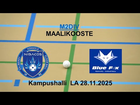PM div2 Nibacos vs Blue Fox maalikooste 28.11.2025