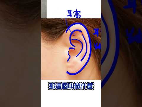 耳朵 畫法
