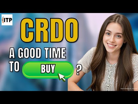 Is Credo Technology Group Holding Ltd CRDO Stock a Good Time to Buy Now?