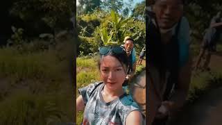 Download lagu Yoriko Angeline Hiking mp3