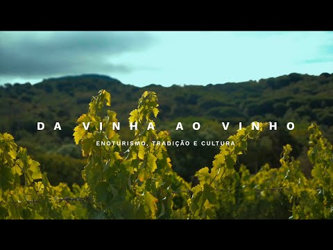 da vinha ao vinho - vídeo promocional de enoturismo