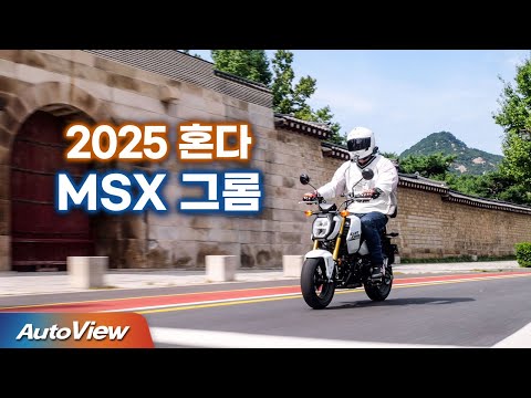 이래서 싸구려 중국산은 안타지... 2025 혼다 MSX 그롬 / 오토뷰 라이프 -  바이크 리뷰