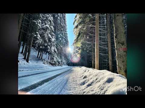 Tu ma conduci in orice vreme