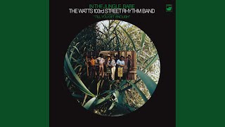 Comment (If All Men Are Truly Brothers) (1970 Mono Version)