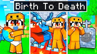 BIRTH TO DEATH of an ELEMENTAL DRAGON in Minecraft!