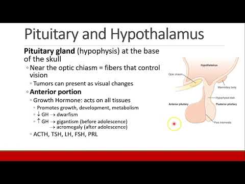 Applied Physiology for Anesthesia - 09 - ENDOCRINE - Part 1
