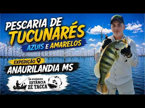 3 DIAS ATRÁS DOS TUCUNARÉS, O QUE ACONTECEU NO FINAL, FOI INACREDITÁVEL!!!