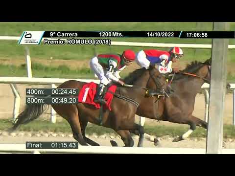 221014 c09 - MORGAN AVENUE - HIPODROMO LAS PIEDRAS