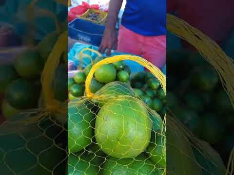 LIMÃO 🍋 FEIRA LIVRE DA GRANJA PORTUGAL FORTALEZA CE #feiralivre