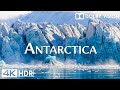 Antarctica 4K Discovering The Majestic Icebergs And Pristine Wilderness Relaxing Music