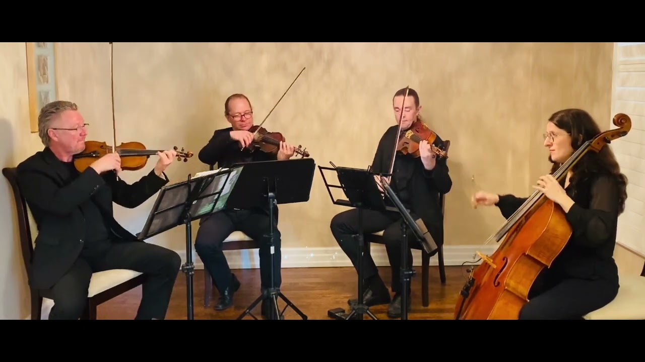 Promotional video thumbnail 2 for Aurora Quartet