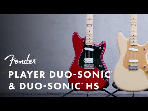 Zuhal Youtube Videos