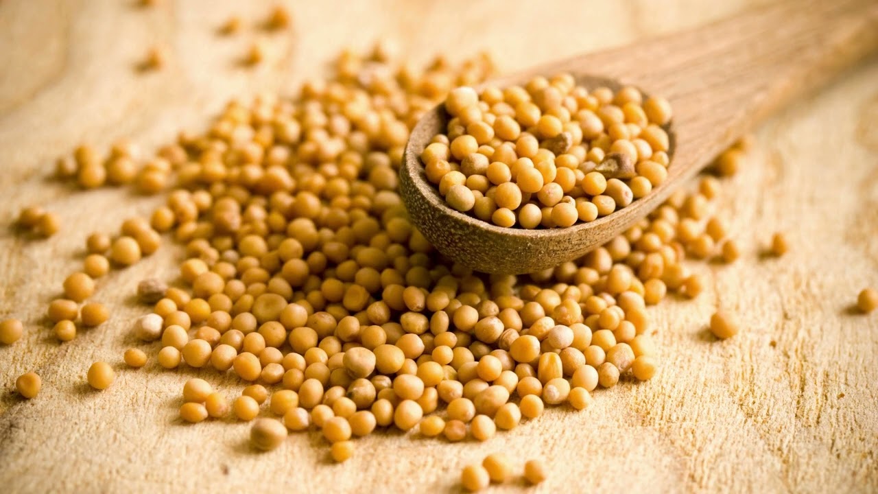 Misda Kids Sabbath Stories: Seeds of Faith