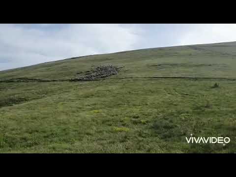 Tatin Qehaja 24-05-021