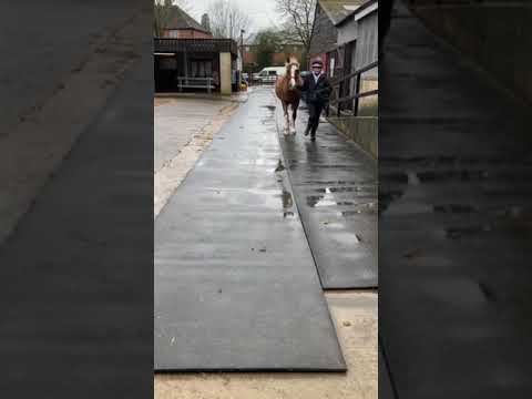 cm chat media video 1:eeb6d695 cbf3 5ee3 b2cb b2d86c12138f:321:2:0