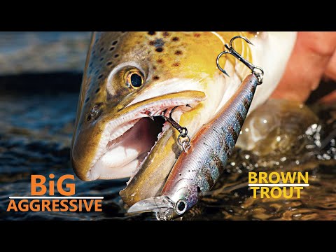How to CATCH BIG Brown Trout on Jerkbaits