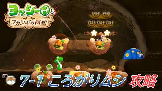【ヨッシーとフカシギの図鑑】7-1 ころがりムシの巣 調査、フラワーコンプリート【攻略/switch2】
