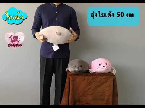 Byusgaltera สำหรับหน้าอกเล็ก หน้าอกเล็กชุดเปิดหลัง