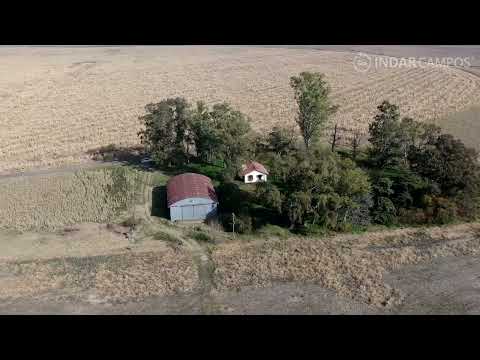 INDAR Campos | Salto | Buenos Aires | Agrícola | 324 Has